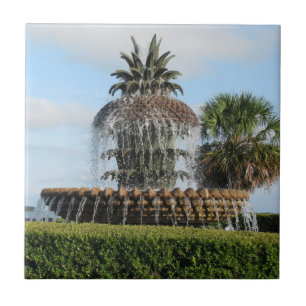Charleston SC Pineapple Fontän Tile Kakelplatta
