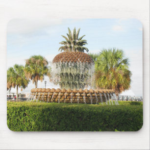 Charleston SC Pineapple Fontän, Waterfront Park Musmatta