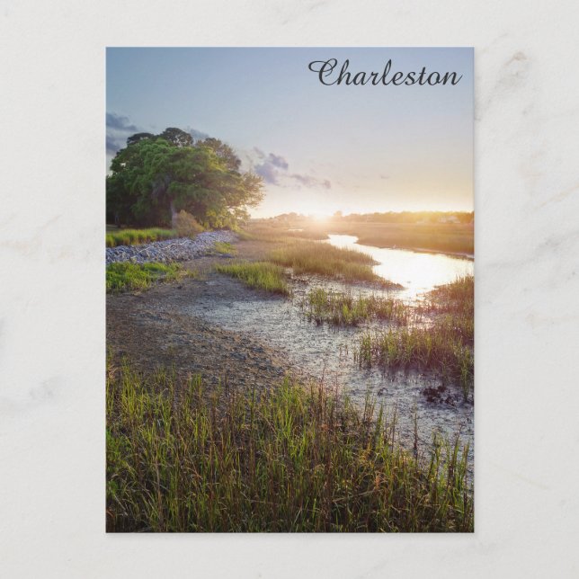 Charleston South Carolina Low Land Sunset Photo Vykort (Framsida)