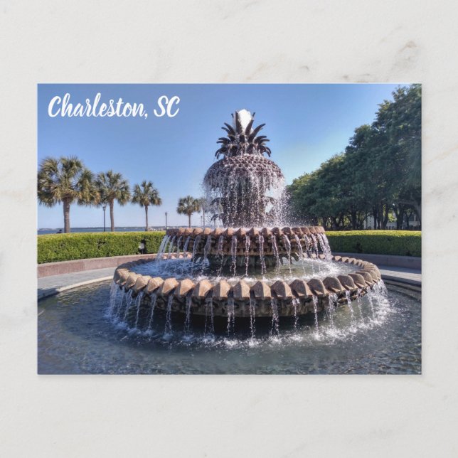 Charleston South Carolina Pineapplefontän Vykort (Framsida)