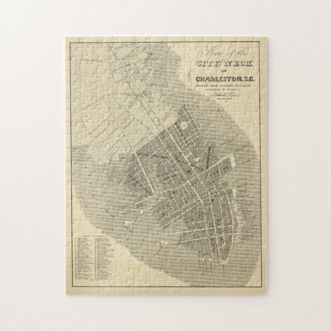 Charleston, South Carolina Pussel (Vertikal)