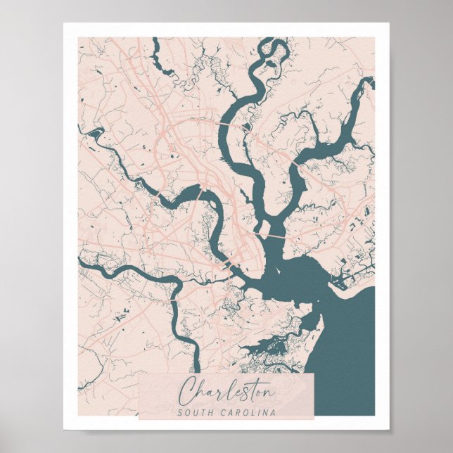 Charleston South Carolina Rosa och Blue Cute Poster (Framsidan)