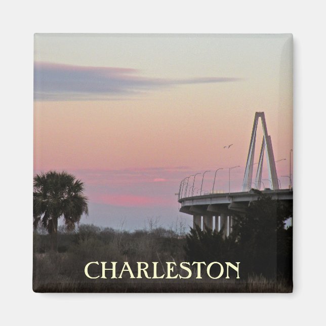 Charleston Souvenir Photo Magnet (Framsidan)