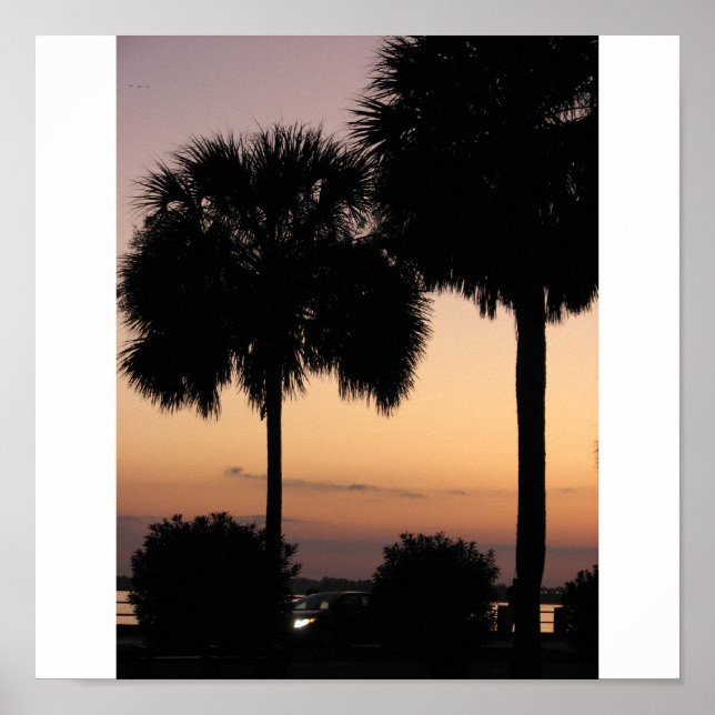 Charleston Sunset Poster (Framsidan)