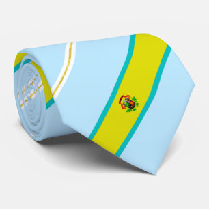 Charleston (Väster Virginia) City flagga Neck Tie Slips