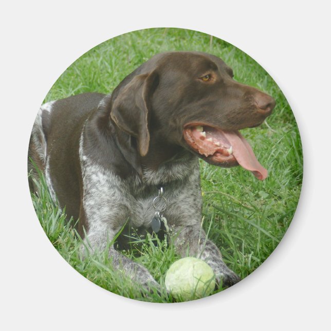 Charlie Magnet (Framsidan)