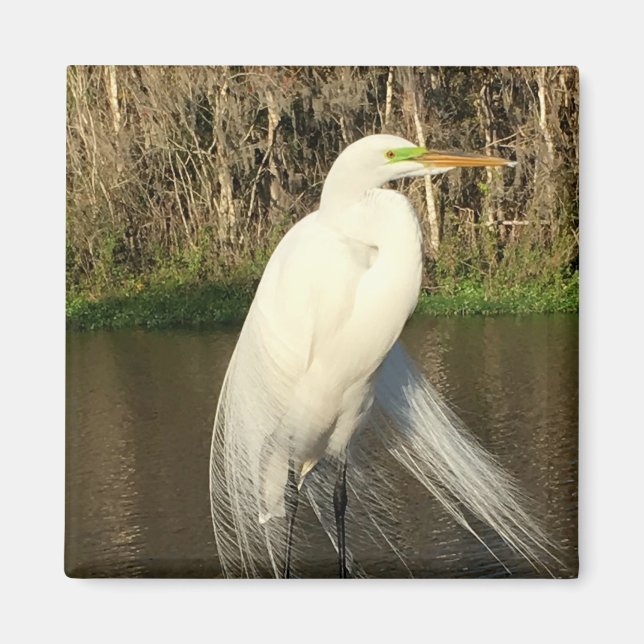 Charlie Magnet (Framsidan)