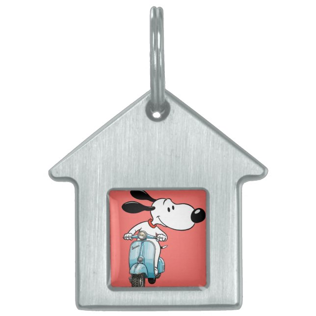 Charlie on a Scooter, by Natasha Us   ID-bricka Husdjur (Framsidan)