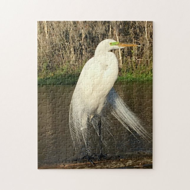 Charlie Pussel (Vertikal)