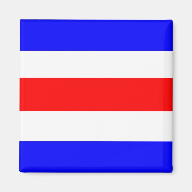 Charlie Rött vitt blått Magnet (Framsidan)