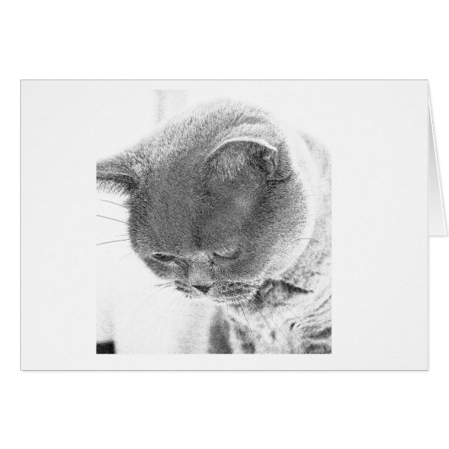 Charlie: Skissa från fotoet av en brittisk Hälsningskort (Framsidan Horizontal)