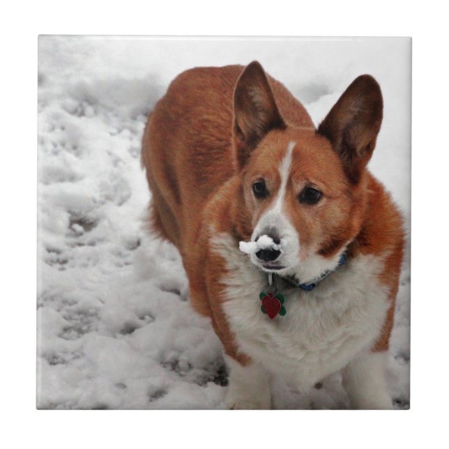 Charlie snöSnout Kakelplatta (Framsidan)