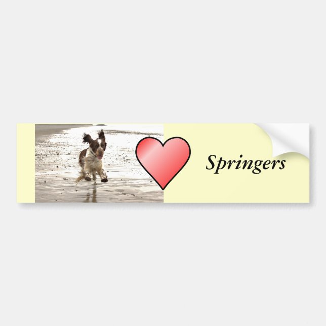Charlie springeren bildekal (Framsidan)