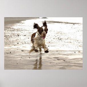 Charlie springeren! poster
