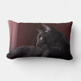 Charlie Throw Lumbar Pillow 13 x 21 tum Lumbarkudde