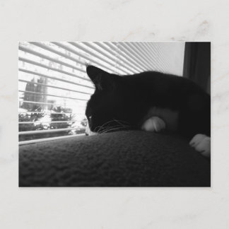 Charlie Tittar ut fönstret Vykort