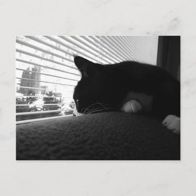 Charlie Tittar ut fönstret Vykort (Framsida)