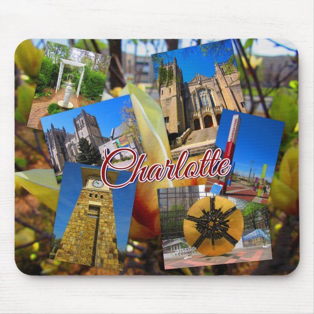 Charlotte North Carolina fotoCollage Musmatta (Framsidan)