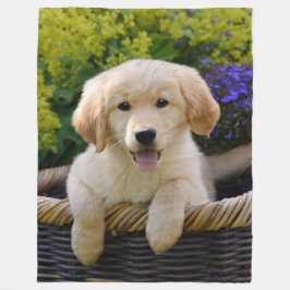 Charma den Goldie valpen Fleecefilt