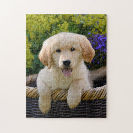 Charma leken 11x14 för Goldie hundvalp Pussel