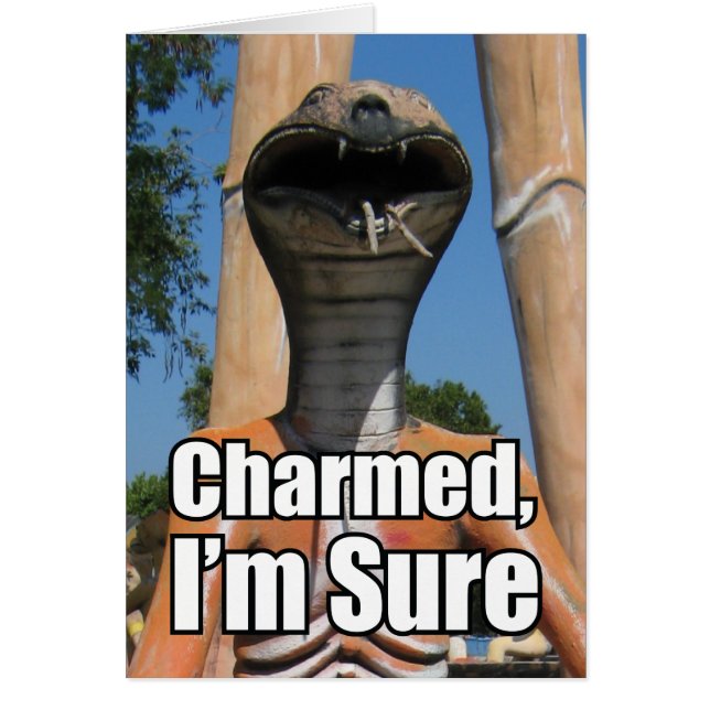 Charmed, jag är säker på MEME-kort Hälsningskort (Framsidan)