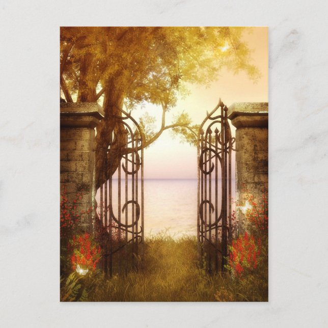 Charmed Woodlands 11 vycard Vykort (Framsida)