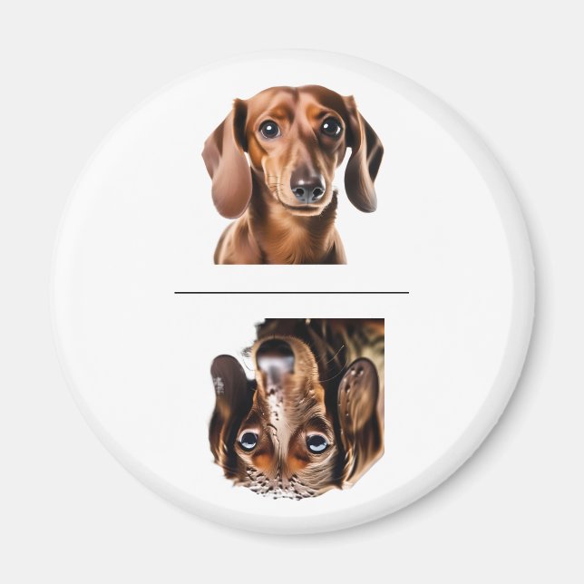 Charmig Dachshund Ren/Osmutsad Diskmaskin Magnet (Framsidan)