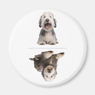 Charmig Gammal Engelsk Fårhund Diskmaskin Magnet