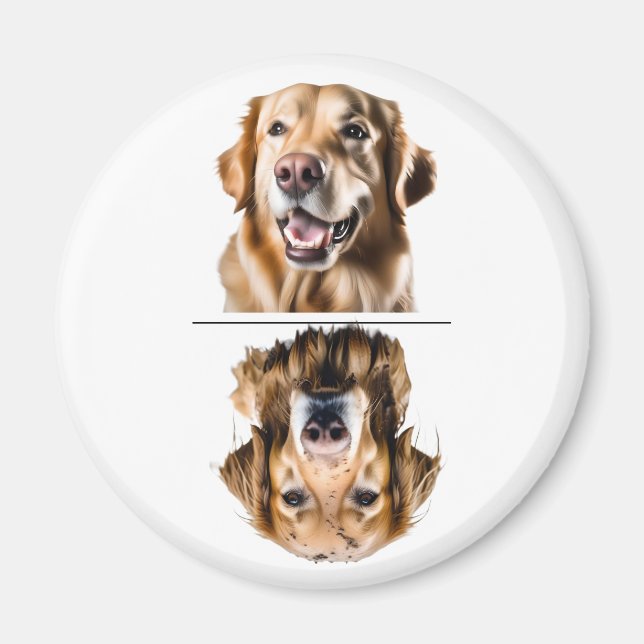 Charmig Golden Retriever Diskmaskin Magnet (Framsidan)