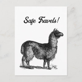 Charmig Llamateckning, Söt Djurbläckteckning Vykort