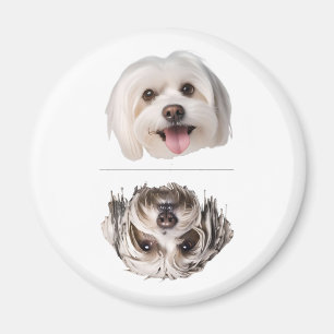Charmig malteserhund diskmaskin ren/smutsig magnet