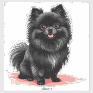 Charmig svart pomeranian hund klistermärken