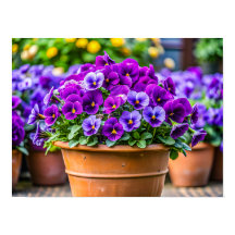Charmig violett blomkruka