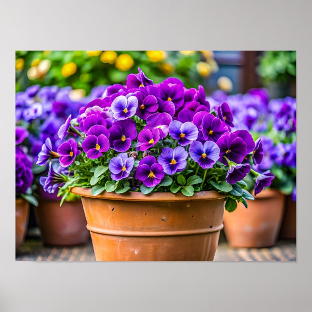 Charmig violett blomkruka poster (Framsidan)
