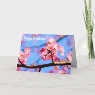 Charming Beauty of Sakura Flowers in Springtime Kort