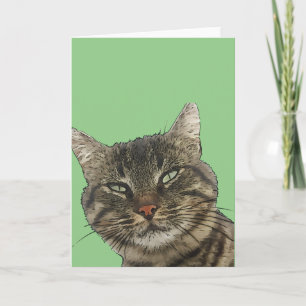 Charming Brown Tabby katt Black konturteckning utk Kort