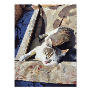 Charming Cat Relaxing in Sunlight Fototryck