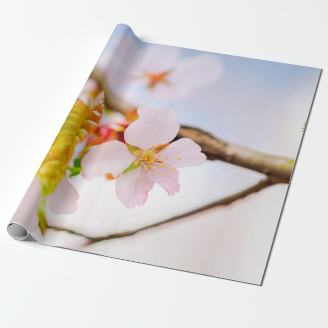 Charming Chic Sakura blomma och Löv i Vår Presentpapper (Utrullad)