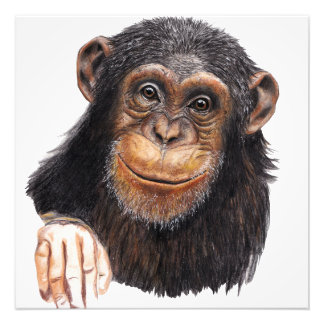 Charming Chimpanzee Fototryck