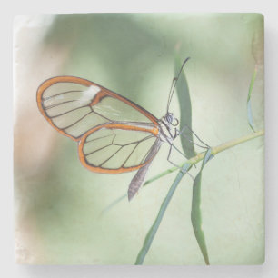 Charming Clear-Vinge Butterfly Stenunderlägg