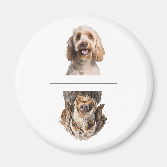 Charming Cockapoo Clean/Dirty Dishwasher Magnet (Framsidan)