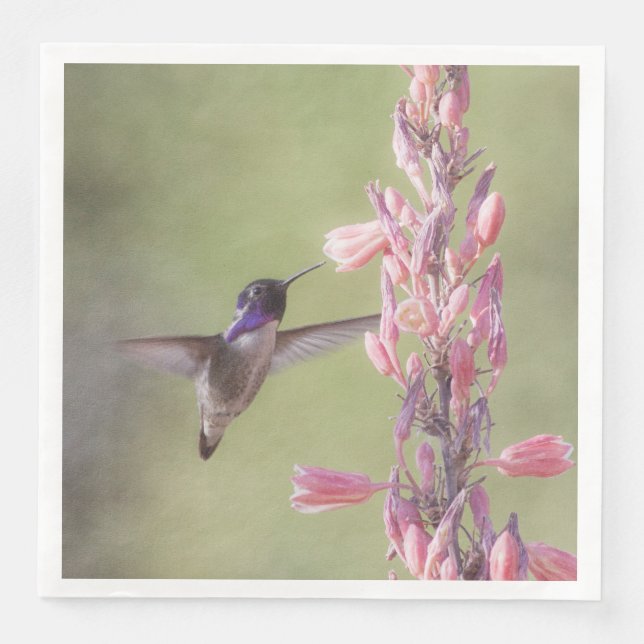 Charming Costa's Hummingbird Pappersservett (Framsida)