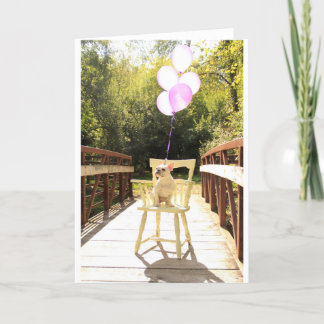 Charming Fransk Bulldog Birthday Kort