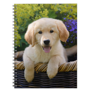 Charming Goldie Retriever Cute Puppy, fotocover Anteckningsbok Med Spiral