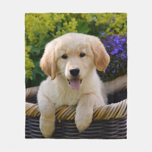 Charming Goldie Retriever Hund Puppy Photo Porträt Fleecefilt (Framsidan)