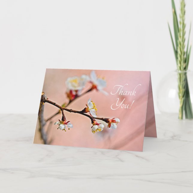 Charming Japanska Apricot-Blommar Tack Kort (Framsida)