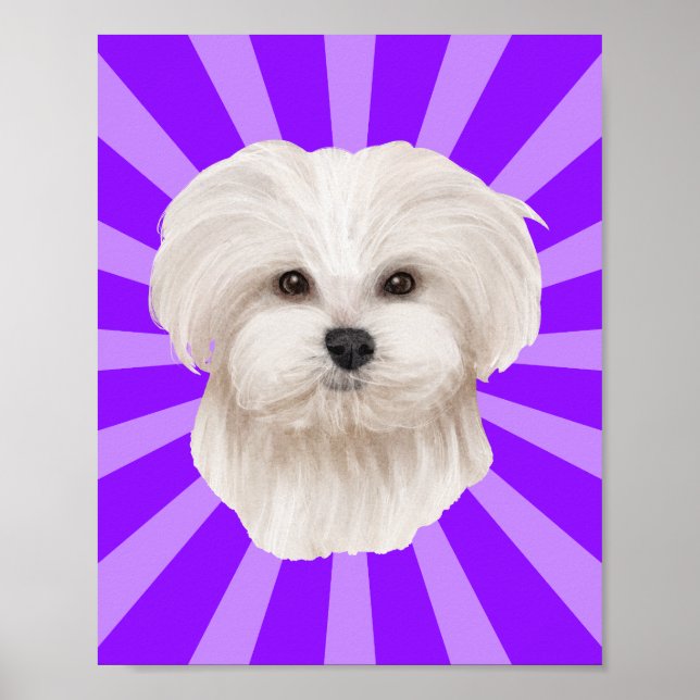 Charming Maltese Pop Art Poster (Framsidan)