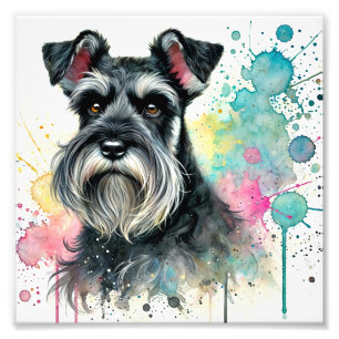 Charming Miniature Schnauzer Watercolor Art Fototryck