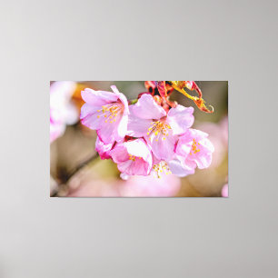 Charming och Coola Sakura Flowers in Springtime Canvastryck