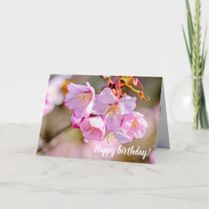 Charming och Coola Sakura Flowers in Springtime Kort